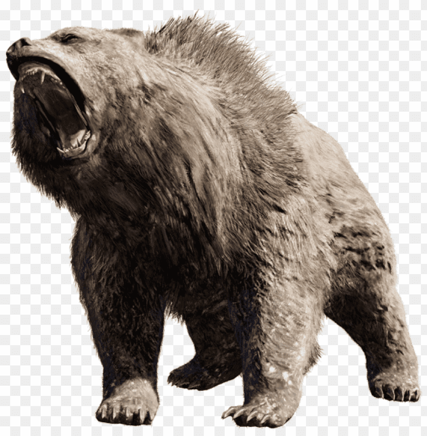 bear png images background - Image ID 342