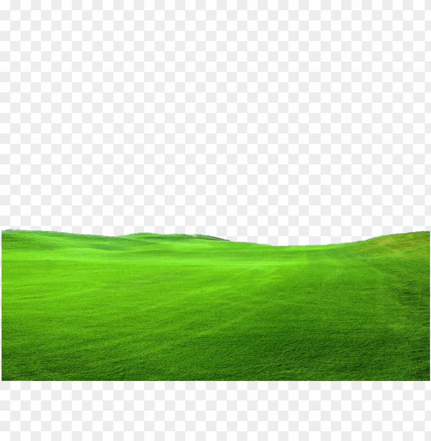 PNG image of grass png pic with a clear background - Image ID 8428