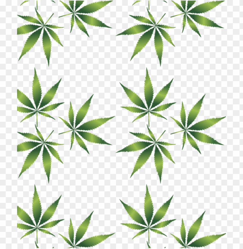 last week i attended a seminar entitled marijuana and weed leaf pattern PNG transparent with Clear Background ID 229088