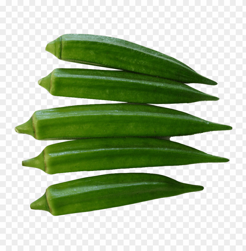 okra PNG images with transparent backgrounds - Image ID 11913